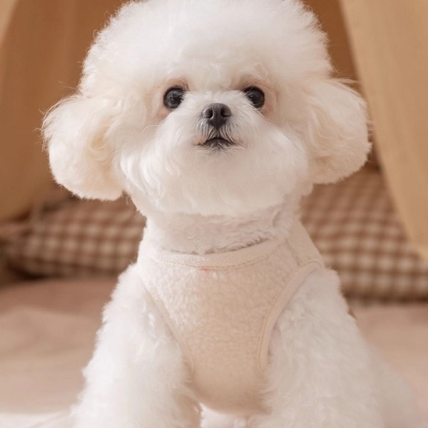 페오펫몰,[감사특가] 개과천선 로로베어 뽀글이 반려동물 조끼