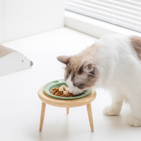 페오펫몰,개과천선 우든볼 세라믹 반려동물 식기