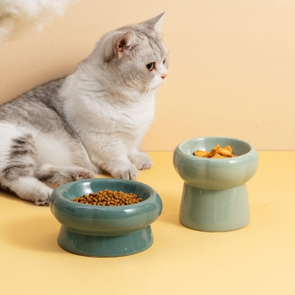 페오펫몰,개과천선 비비볼 세라믹 반려동물 식기