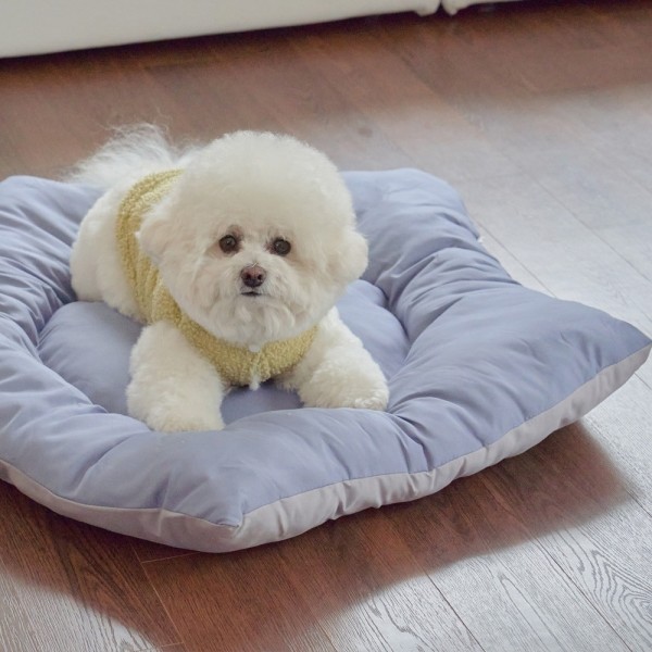 페오펫몰,개과천선 엘로아 텐트 강아지 하우스