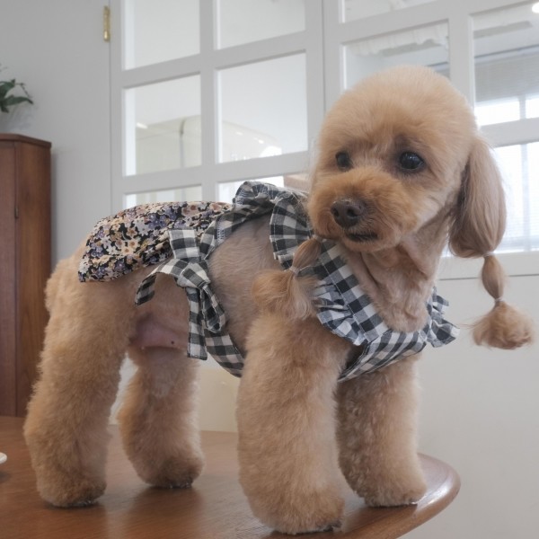 페오펫몰,초코디 프릴 에이프런 원피스
