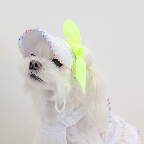 페오펫몰,[CCPM]썸머 레인보우 썬캡