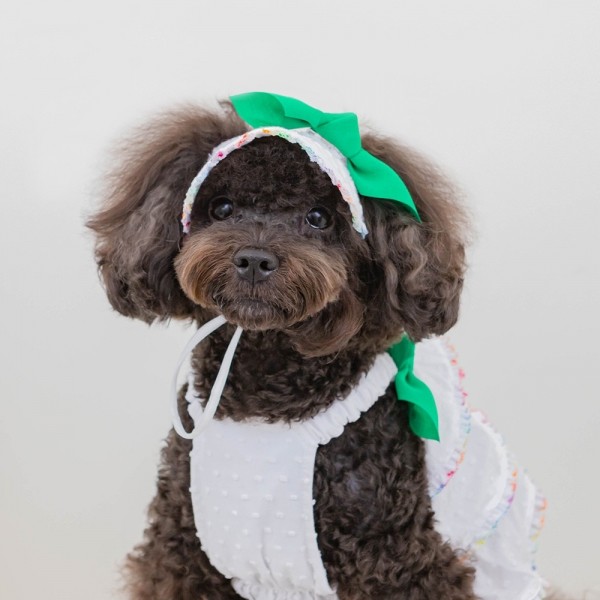 페오펫몰,[CCPM]썸머 레인보우 썬캡