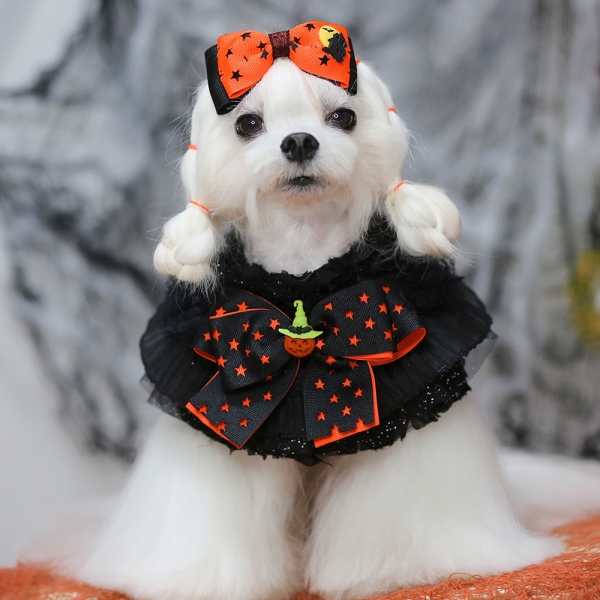 페오펫몰,[CCPM]할로윈 파티 케이프