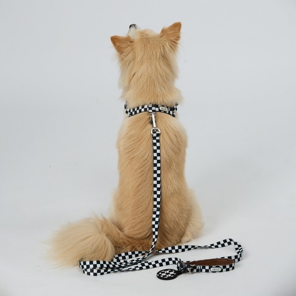 페오펫몰,일로 텐텐 TENTEN 리쉬 - 블랙