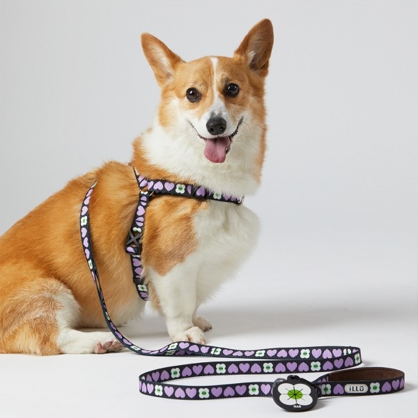 페오펫몰,일로 럽미 LUV ME 하네스 (L형)