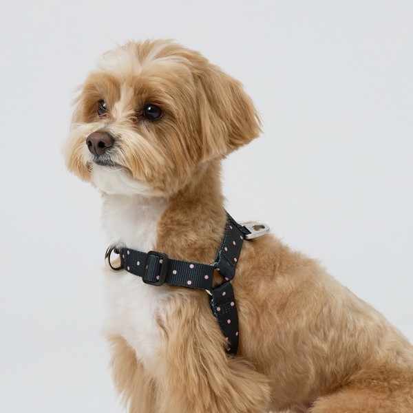 페오펫몰,일로 도로시 DOROTHY 하네스 (L형)