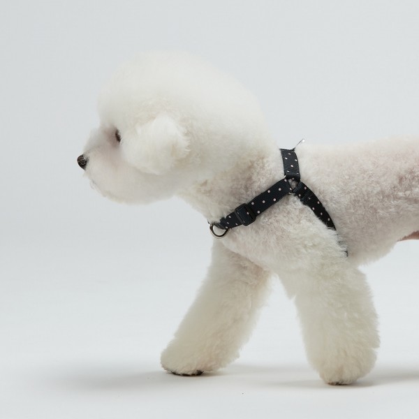 페오펫몰,일로 도로시 DOROTHY 하네스 (L형)