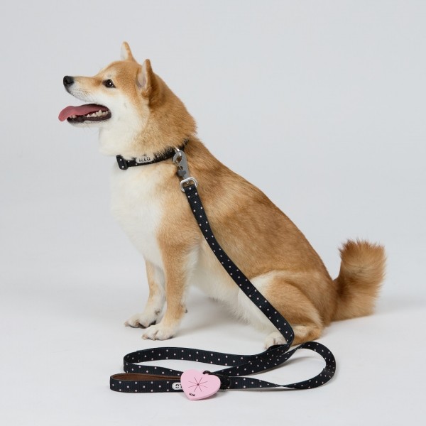 페오펫몰,일로 도로시 DOROTHY 리쉬