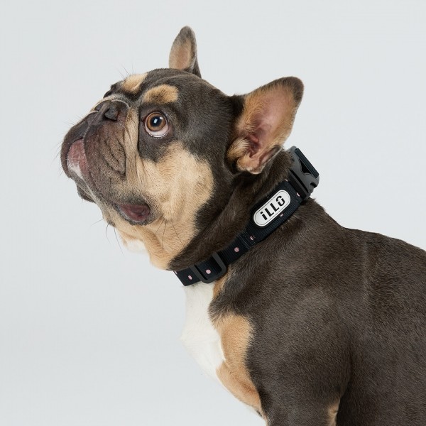 페오펫몰,일로 도로시 DOROTHY 더블락 맥스 목줄 - 중,대형견용