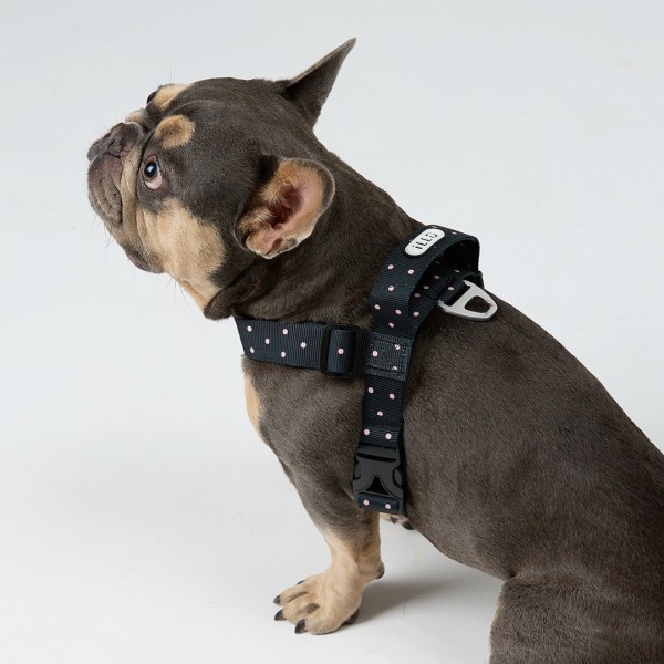 페오펫몰,일로 도로시 DOROTHY 맥스 하네스 (L형) - 중,대형견용