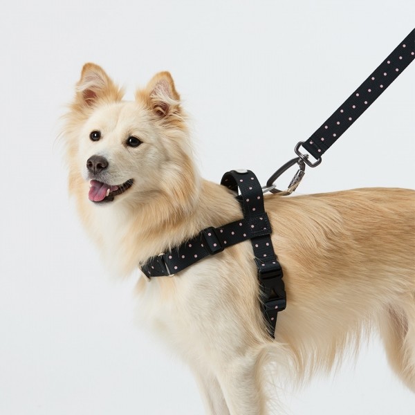 페오펫몰,일로 도로시 DOROTHY 맥스 하네스 (L형) - 중,대형견용