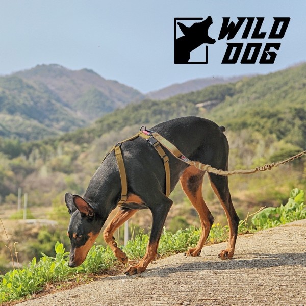 페오펫몰,와일드독 H형 애견가슴줄 소형견 대형견 강아지하네스