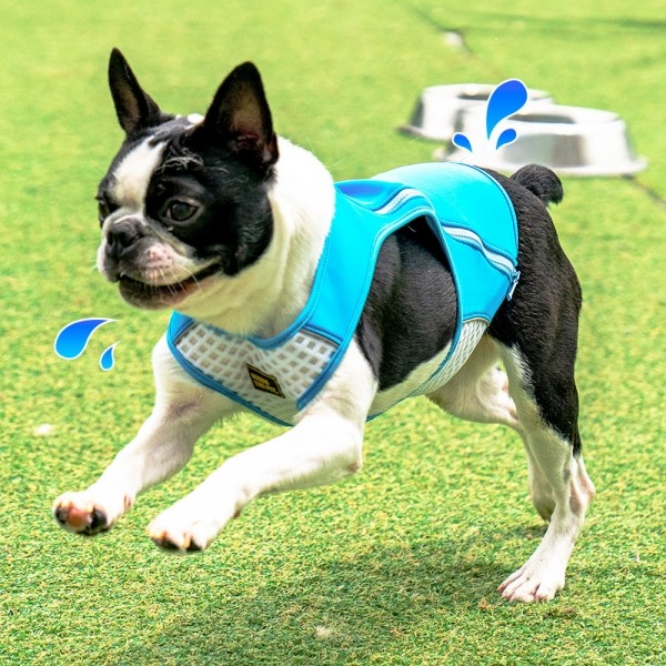 페오펫몰,니즈더펫 인터라켄 쿨워터 조끼