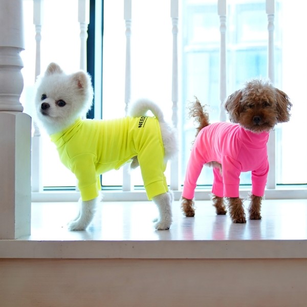 페오펫몰,니즈더펫 올인원 래쉬가드