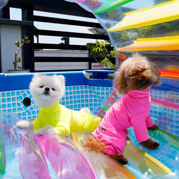 페오펫몰,니즈더펫 올인원 래쉬가드