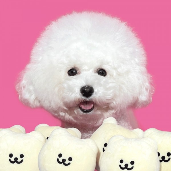 페오펫몰,강아지 용품 삑삑이 바스락 장난감 곰찌