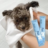 [메이웰] 반려동물 바디티슈 펫샤워타월 1매