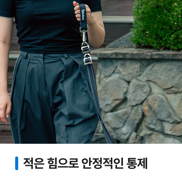 페오펫몰,[앞섬방지 + 산책교육]어텐션하네스+리드줄+레그커버