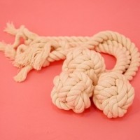 아띠지기 치실 공 터그토이 2종 (손잡이 공, 꽈배기) [최저가]