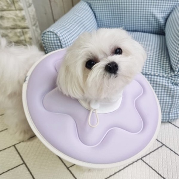 페오펫몰,더플래 강아지 고양이 반반 초경량 넥카라 [최저가]