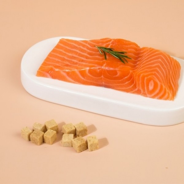 페오펫몰,펫시밀 동결건조 간식 소프트 연어트릿 75g [최저가]