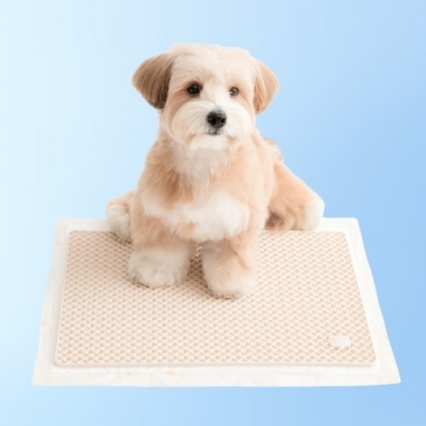 페오펫몰,[바잇미] 발도장 방지 제로 가드 매트 실리콘 배변판 (2 colors) [최저가]