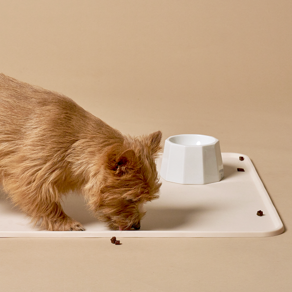 페오펫몰,[핏펫] 헤이테일 안심 실리콘 배변판 듀얼 논슬립 배변매트