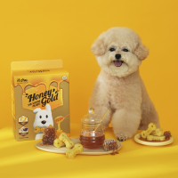 [핏펫] 잇츄 강아지 대용량 덴탈껌 허니골드 S 34개입 340g