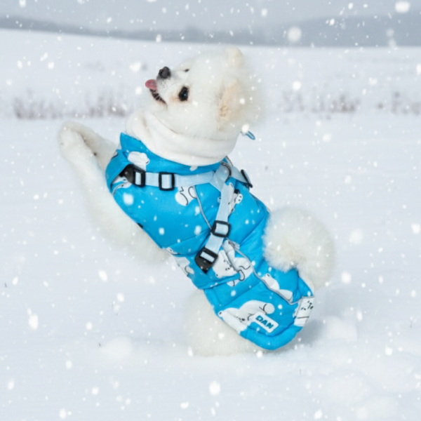 페오펫몰,[핏펫][설날특가] 착-붙 리얼 하네스 강아지 패딩 3종 택 1 (북극곰/감귤/붕어빵)