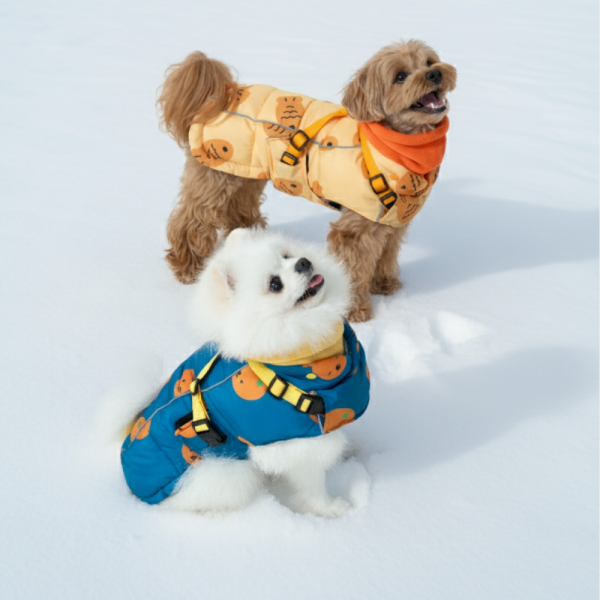 페오펫몰,[핏펫][설날특가] 착-붙 리얼 하네스 강아지 패딩 3종 택 1 (북극곰/감귤/붕어빵)