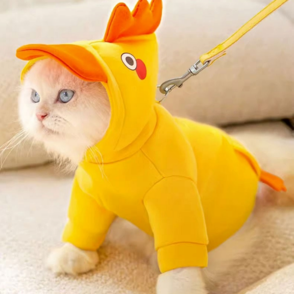 페오펫몰,[댕린이특가] 강아지후드티 특이한 귀여운 이쁜 외출용