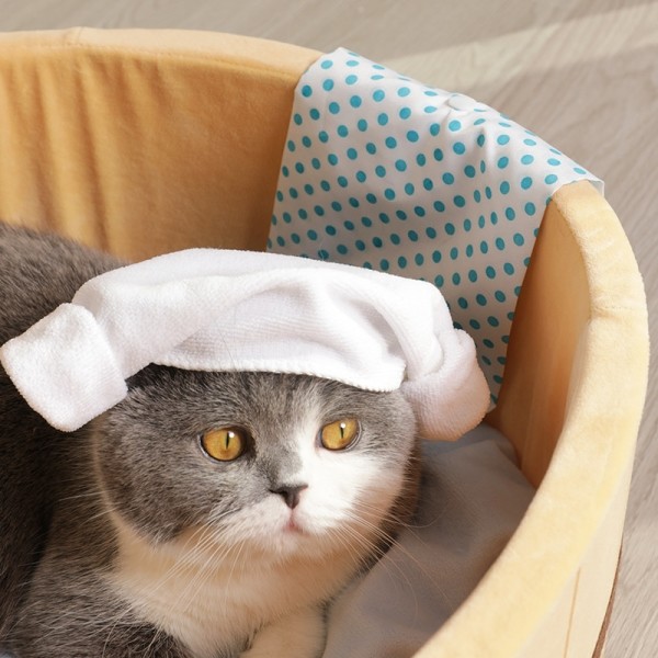 페오펫몰,[댕린이특가] 고양이 강아지 쿠션 원형방석 포토존 인테리어 소품