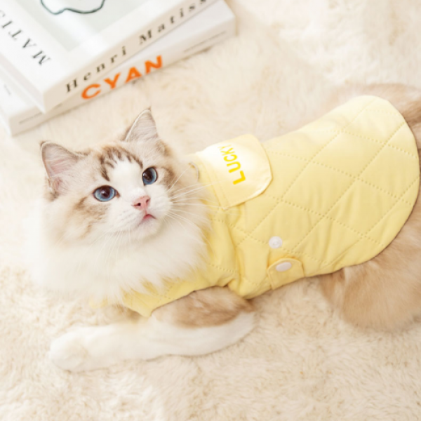 페오펫몰,[댕린이특가] 강아지패딩점퍼 애견 댕댕이 치와와 중형