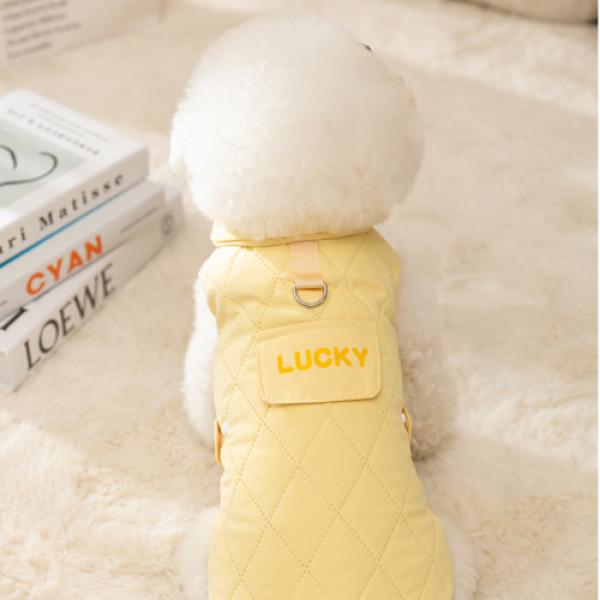 페오펫몰,[댕린이특가] 강아지패딩점퍼 애견 댕댕이 치와와 중형