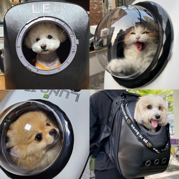 페오펫몰,예펫 8세대 우주선 이동 가방 백팩 창문4종