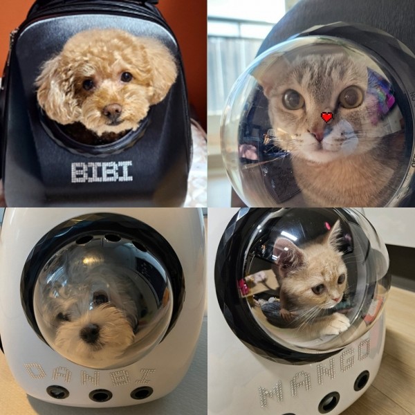 페오펫몰,예펫 8세대 우주선 이동 가방 백팩 창문4종