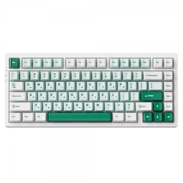 페오펫몰,MCHOSE G75 PRO 3MODE 가스켓 마운트 유무선 기계식 키보드