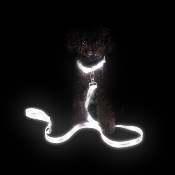 페오펫몰,[버디부] 트윙클 목줄