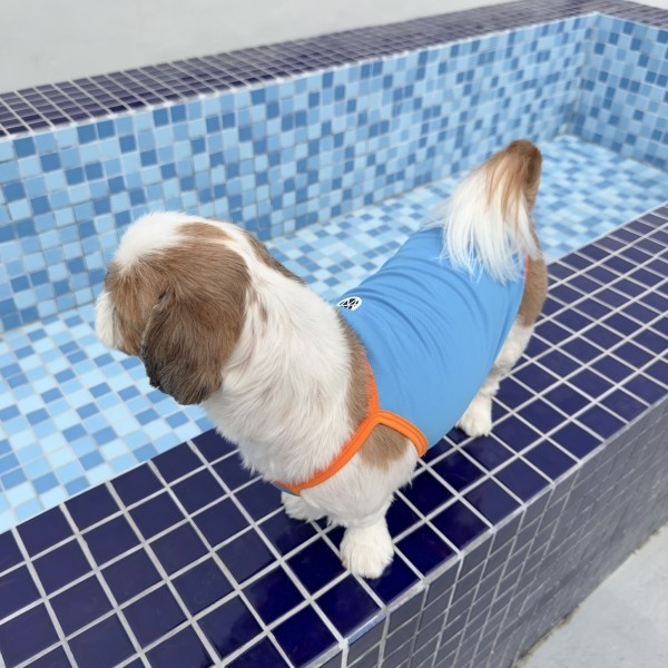 페오펫몰,[댕캉스특가] 우니토  기능성 쿨링 해충방지 썸머 쿨탑