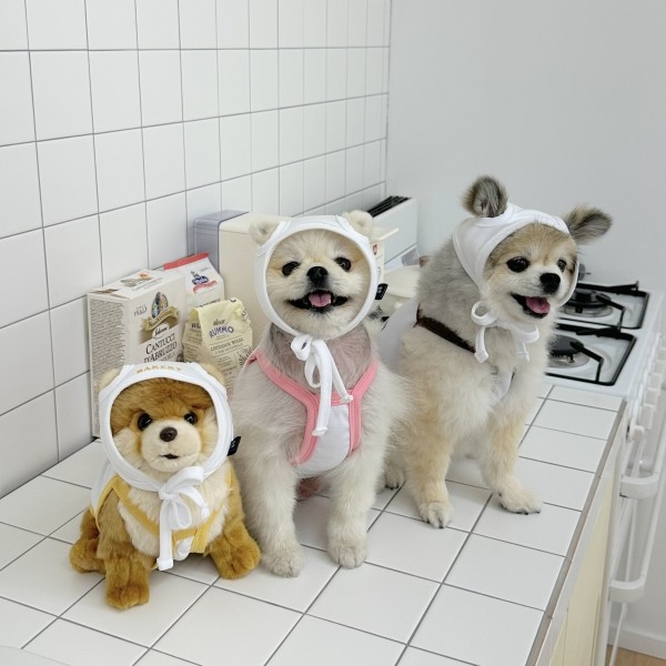 페오펫몰,우니토 베이커리 기능성 쿨링나시