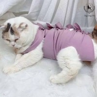 딩동펫 반려동물 중성화 수술복