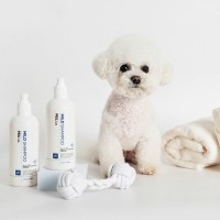 딩동펫 페일어스 세라마이드 저자극 마일드 애견샴푸 화이트머스크향 500ml