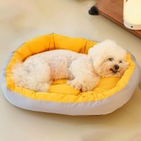 딩동펫 반려동물 폭신 타원형 배색 방석