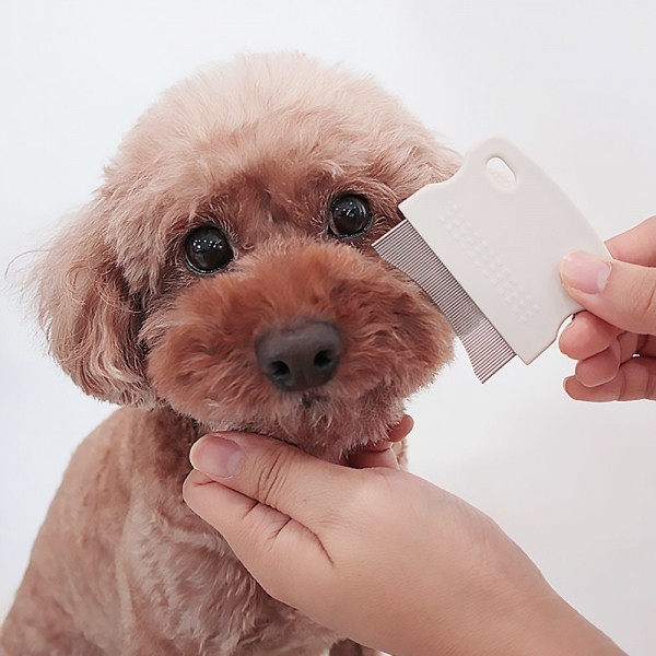 페오펫몰,딩동펫 반려동물 원터치 하트 슬리커 브러쉬 + 페이셜 라운딩 눈꼽빗 세트