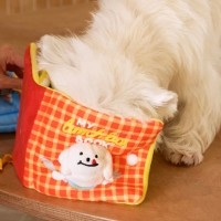 딩동펫 강아지 런치박스 노즈워크 바스락 삑삑이 플레이북