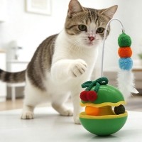 딩동펫 고양이 리본 깃털 오뚝이 트랙볼 장난감