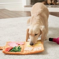 딩동펫 강아지 소프트 메뉴판 다이어리 노즈워크 장난감