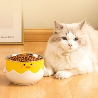 딩동펫 반려동물 삐약 토끼 스텐 식기