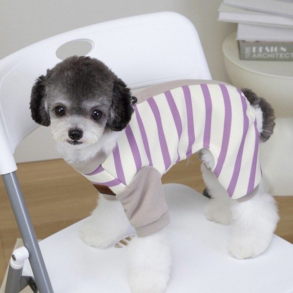페오펫몰,딩동펫 반려동물 배색 스트라이프 올인원 하네스
